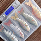 🎁Summer Sale-50% OFF🐠Bionic Joint Lures Set