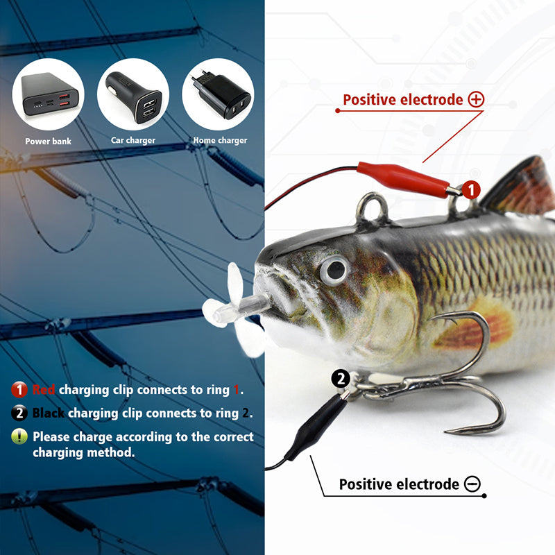 Eksesor Electric Fish Lures, Luminous Fishing Lures, Rechargeable USB Bait,  with Treble Hook and LED Light, Fishing Bait for Bass Trout, Freshwater,  Saltwater : : Sports & Outdoors