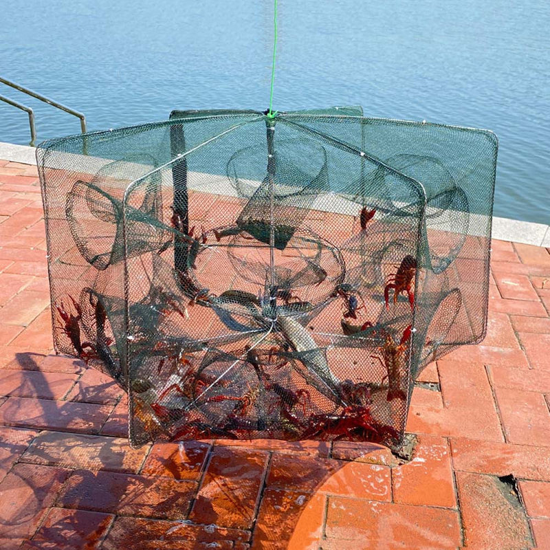 Load image into Gallery viewer, 🌸Spring Sale-43% OFF🐠Automatic Fish Trap 6-16 Entry Holes
