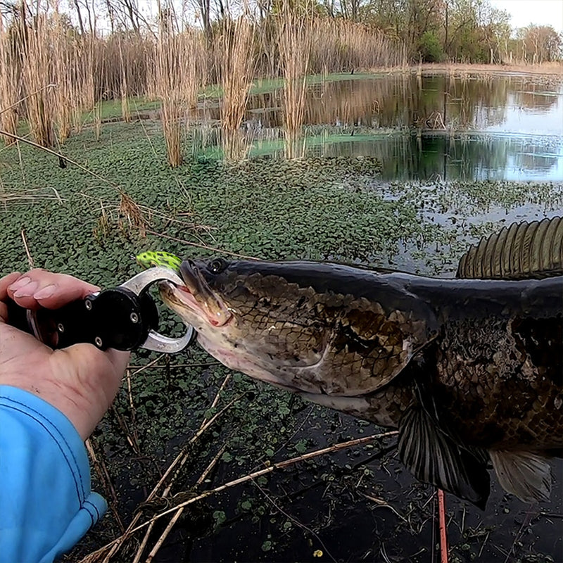 Load image into Gallery viewer, 🎃 Spooky Sale-40% OFF🐠GOTURE Frog Fishing Lure 3 sizes
